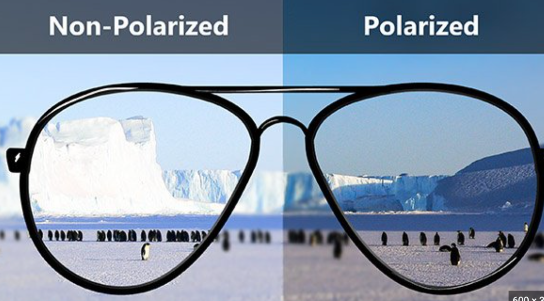Glassy Deric Polarized Sunglasses - Matte Black/Green Mirror – CCS